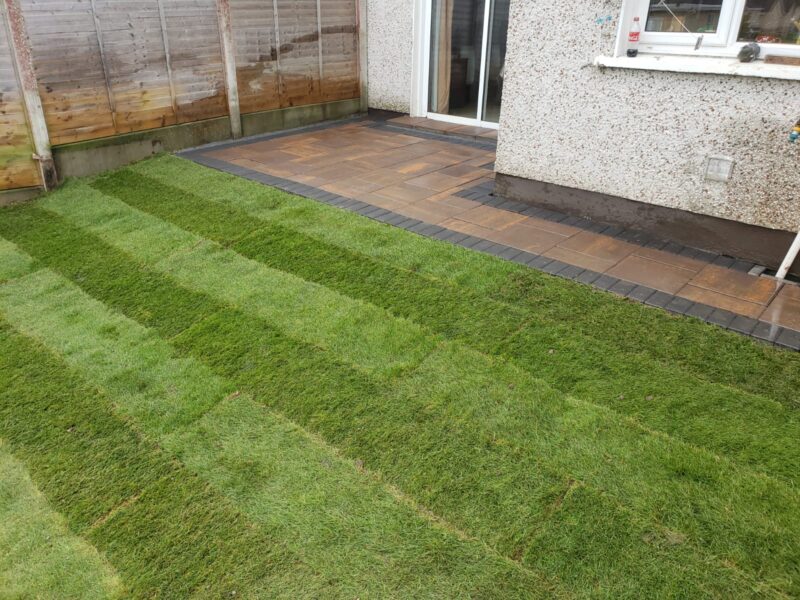 New Lawns