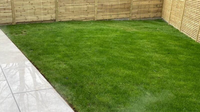 Wooden Fencing